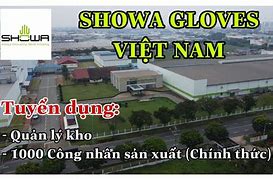 Công Ty Showa Bến Tre Tuyển Dụng