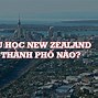 Du Học Tiến Sĩ Tại New Zealand Là Gì Ạ ؟ ؟ ؟ ؟